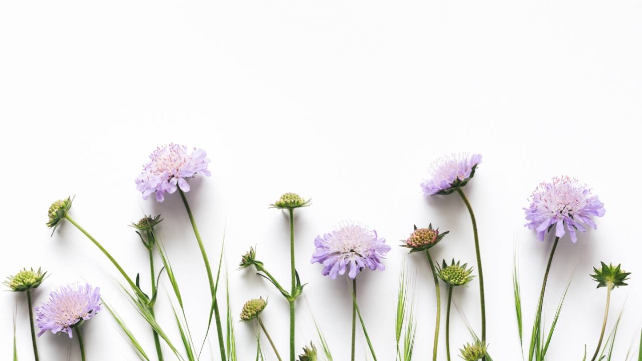 Counselling and Therapy for Depression