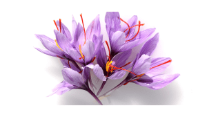 Online counselling/therapy