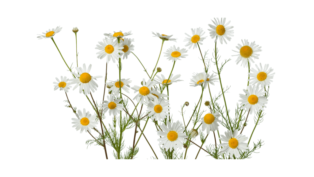 Maintaining good Mental Health