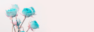"Beautiful turquoise-colored roses on a pale pink background, symbolizing tranquility, emotional balance, and personal transformation."